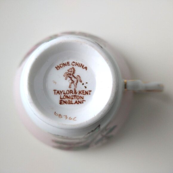 *RARE* Taylor & Kent Longton England Rose Moss Tea Cup & Saucer - Picture 7 of 8